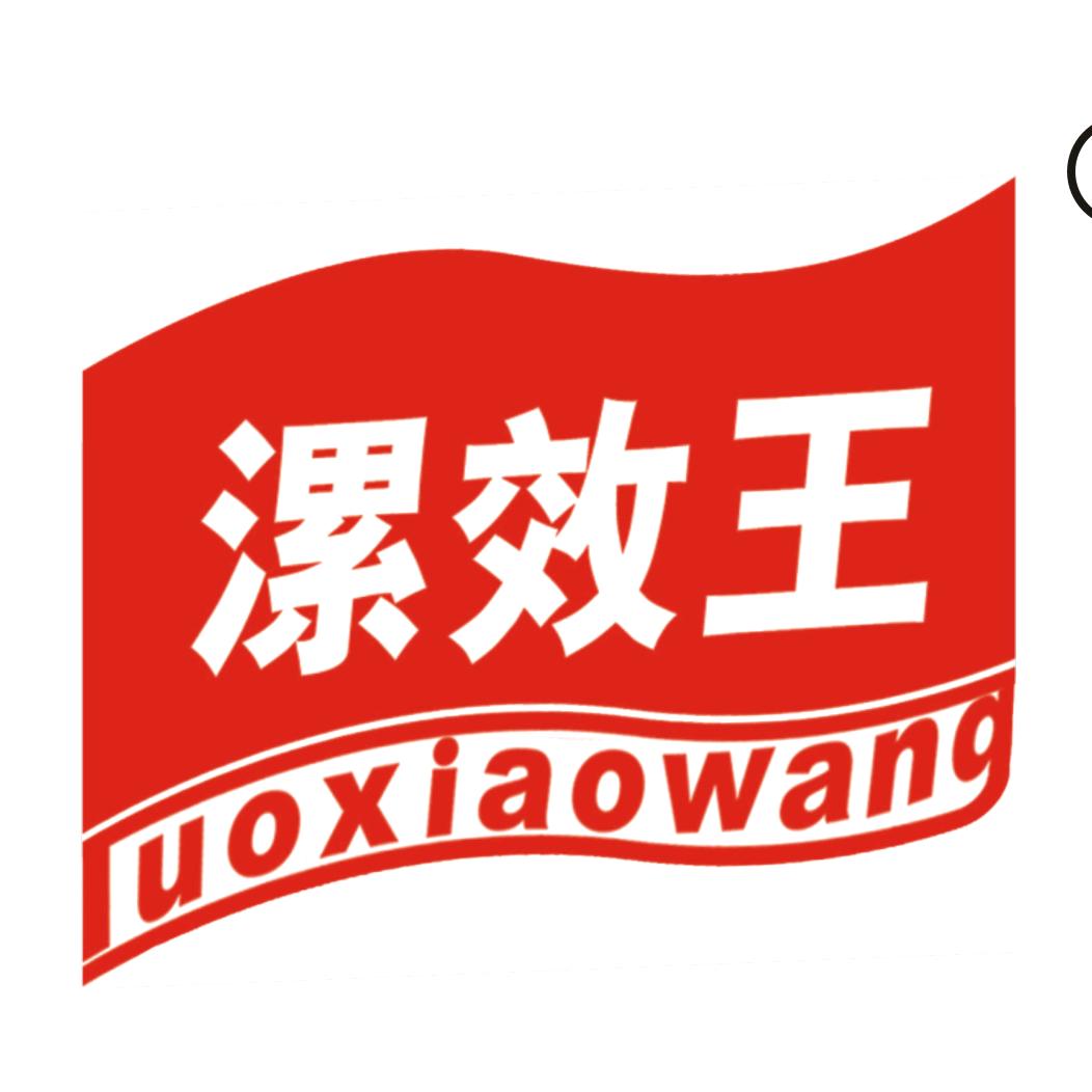 漯效王集团