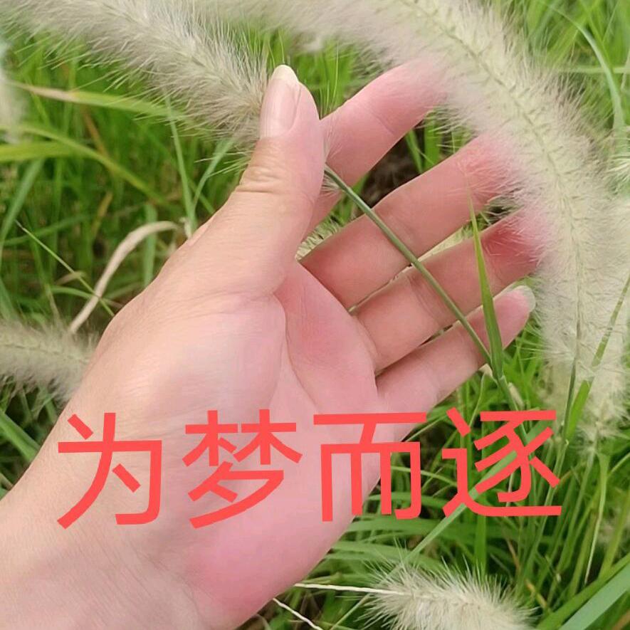 俯瞰今朝
