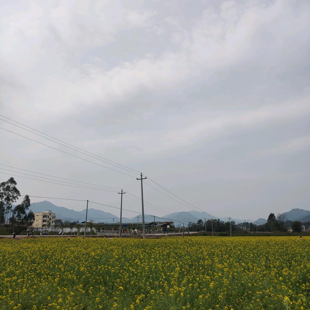 至简.