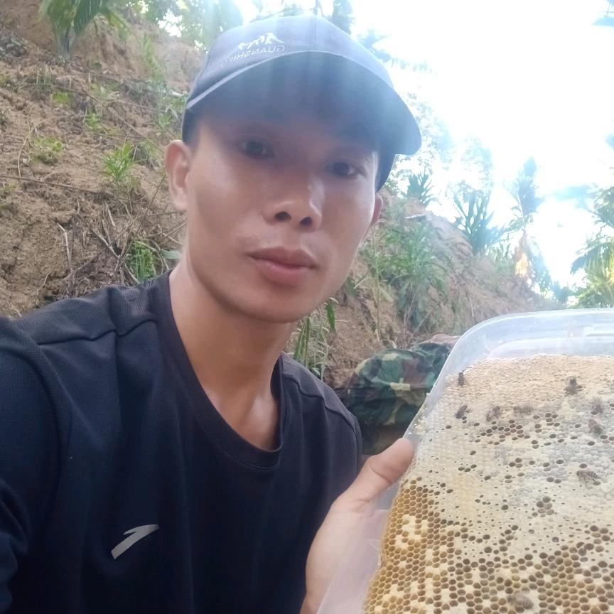 专业玩蜜蜂👉阿东