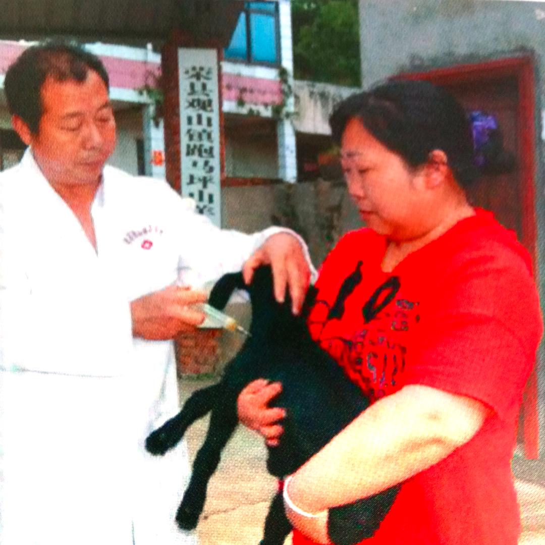 荣州跑山羊_邹旭