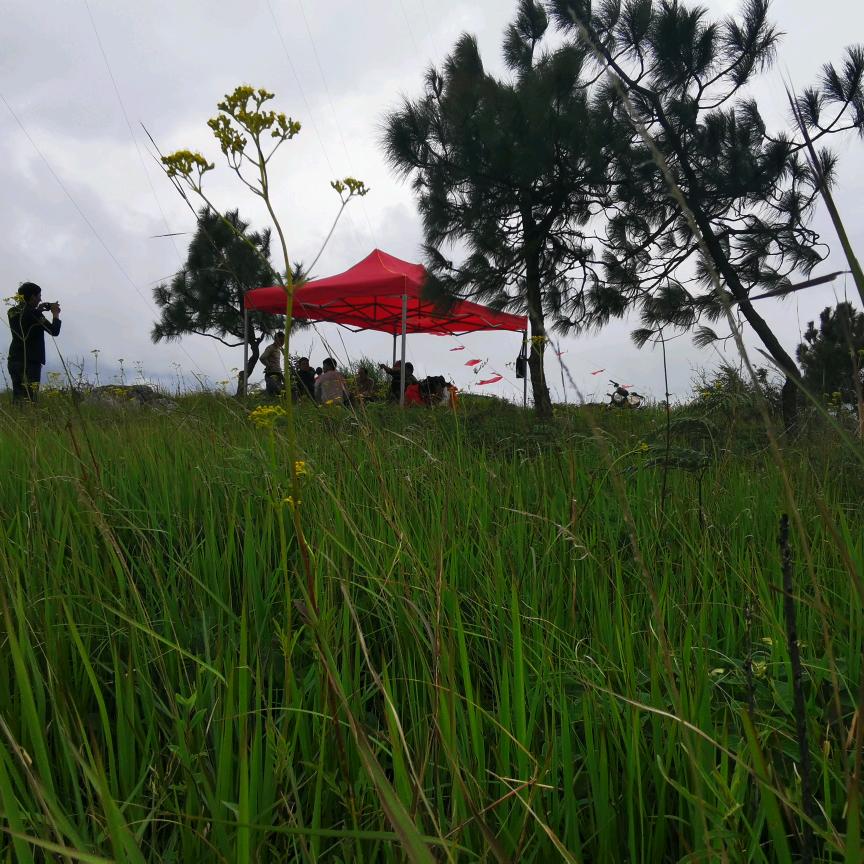 别人都叫我州长