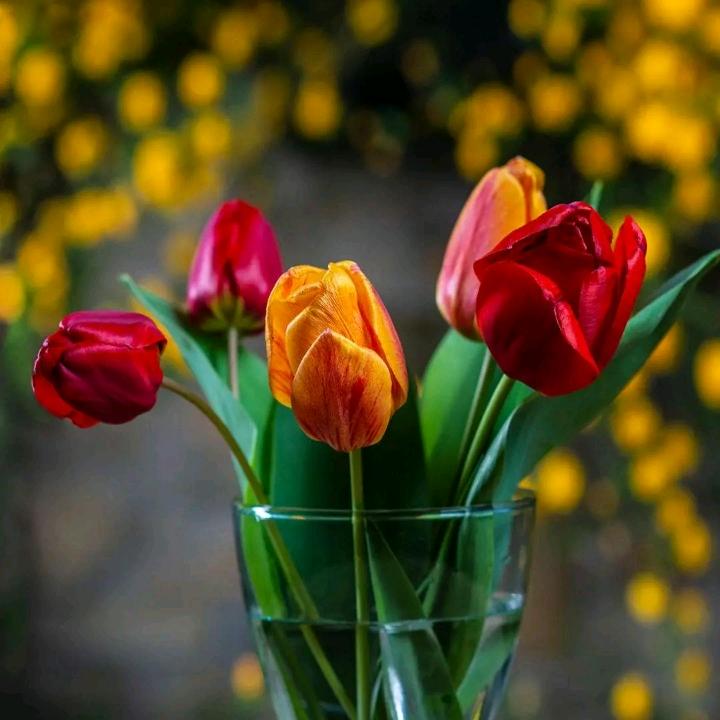 💖 💘 一生有你🍎 🍒