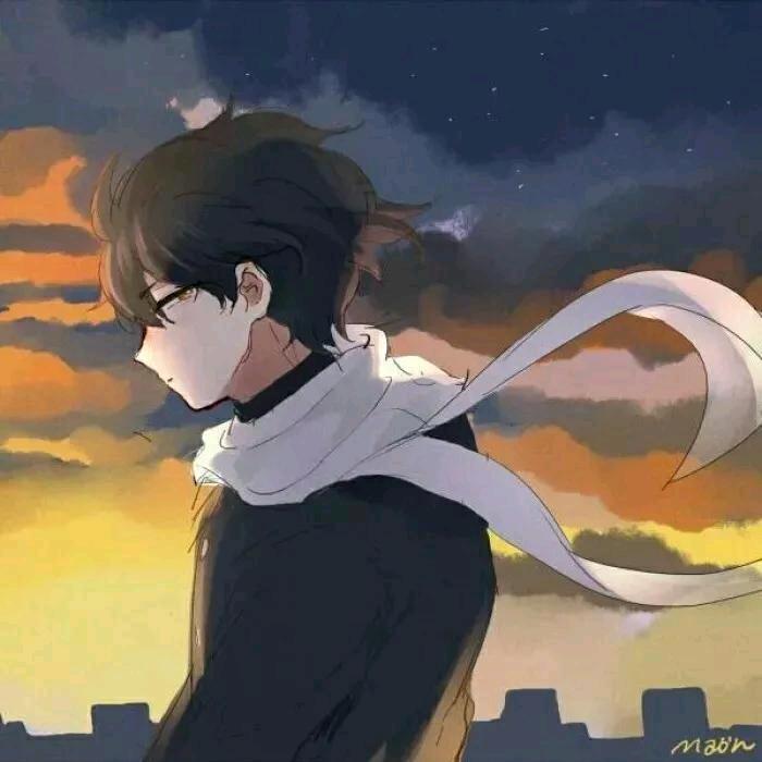 白鸽