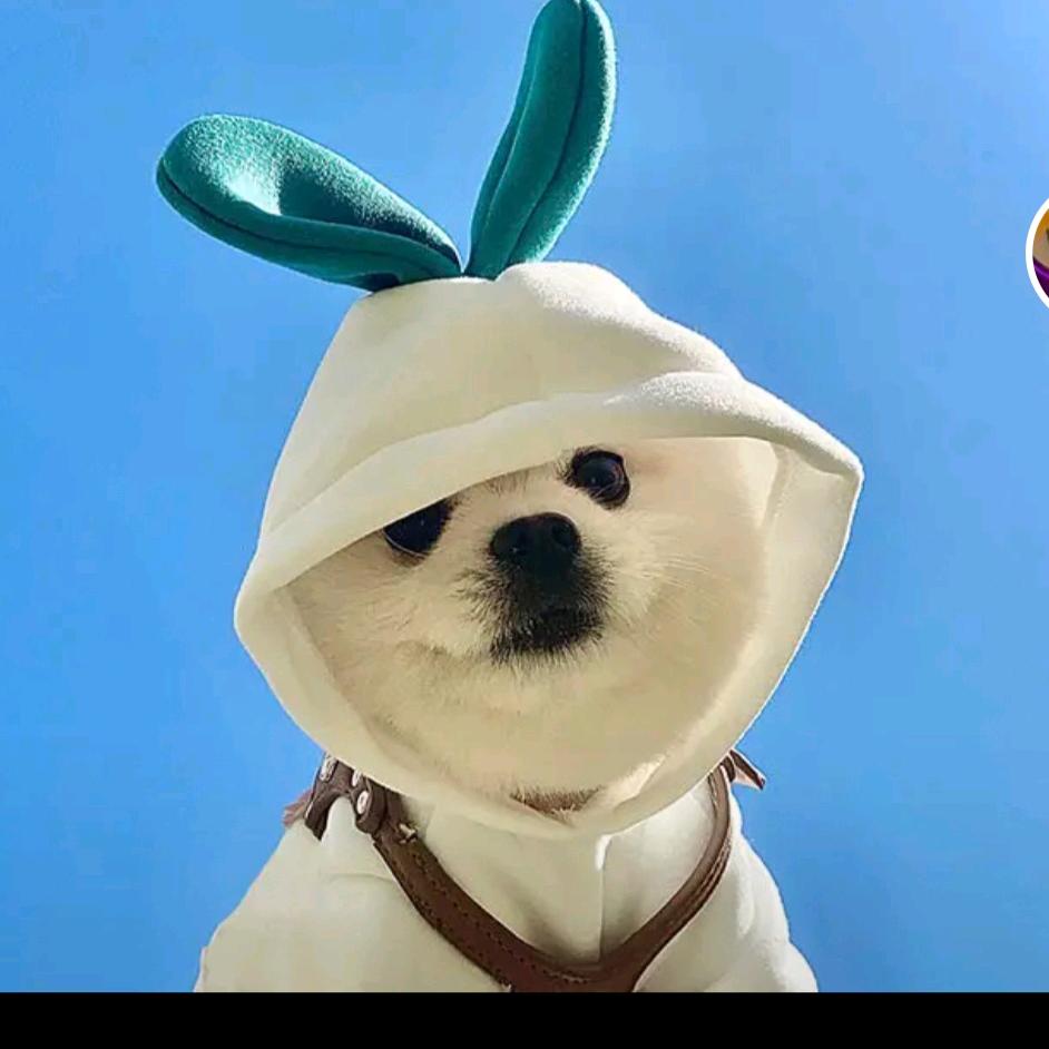 开阳牛牛二手车犒子