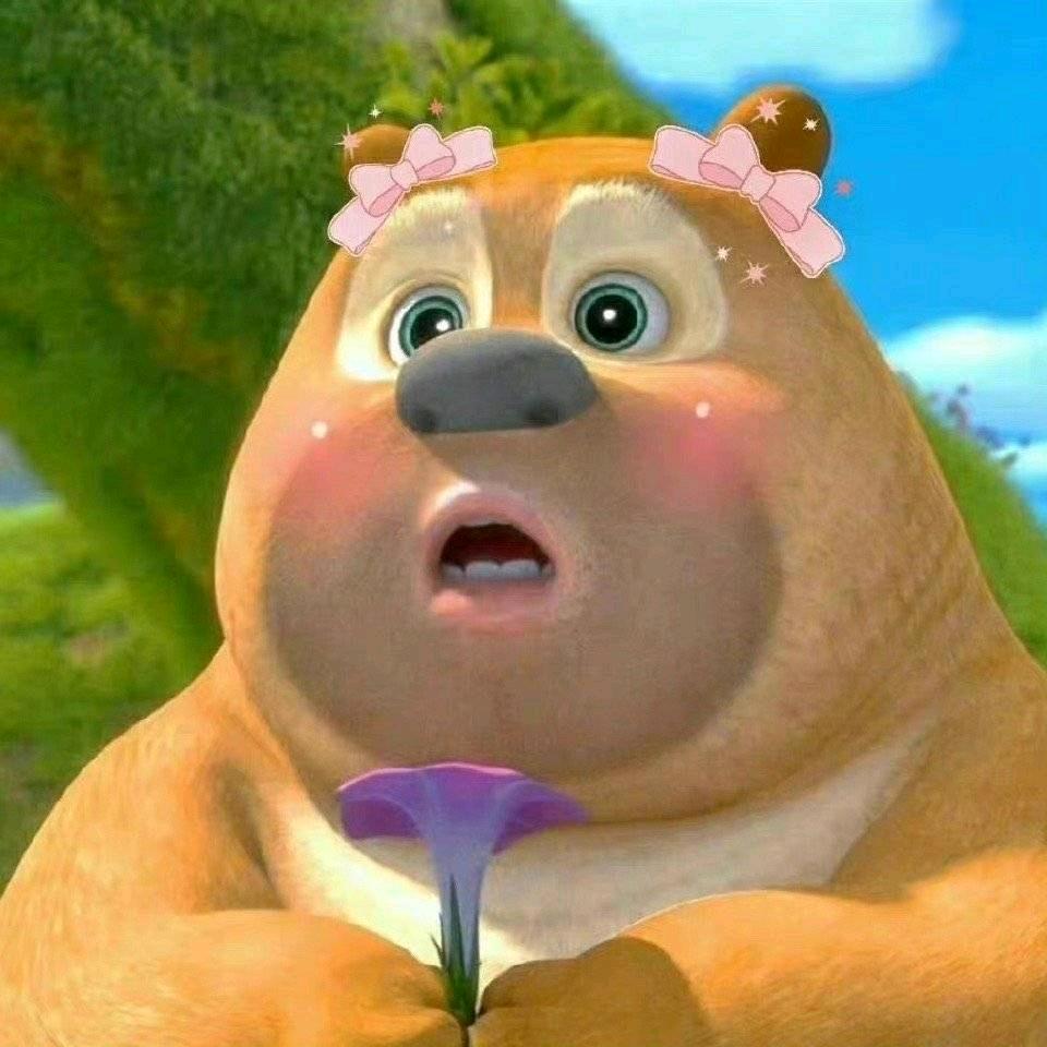 临港一只熊🐻