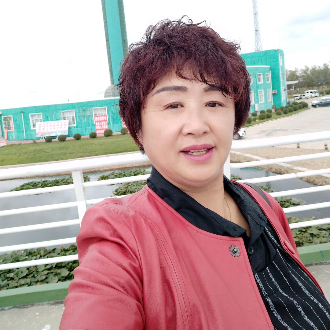 梅艳芬芳