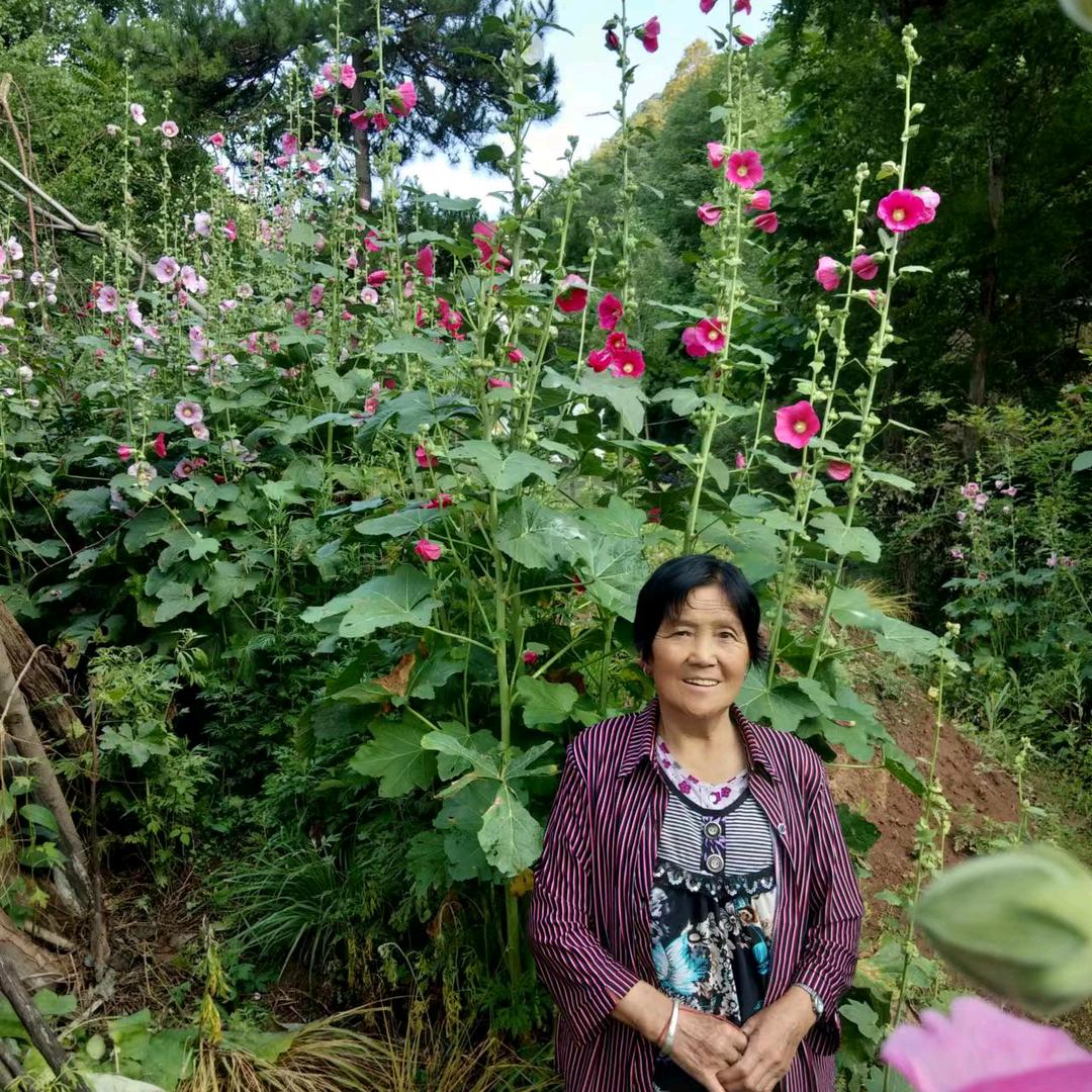 金花婆婆