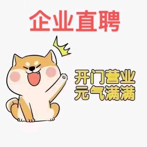 洛阳招聘网创始人.