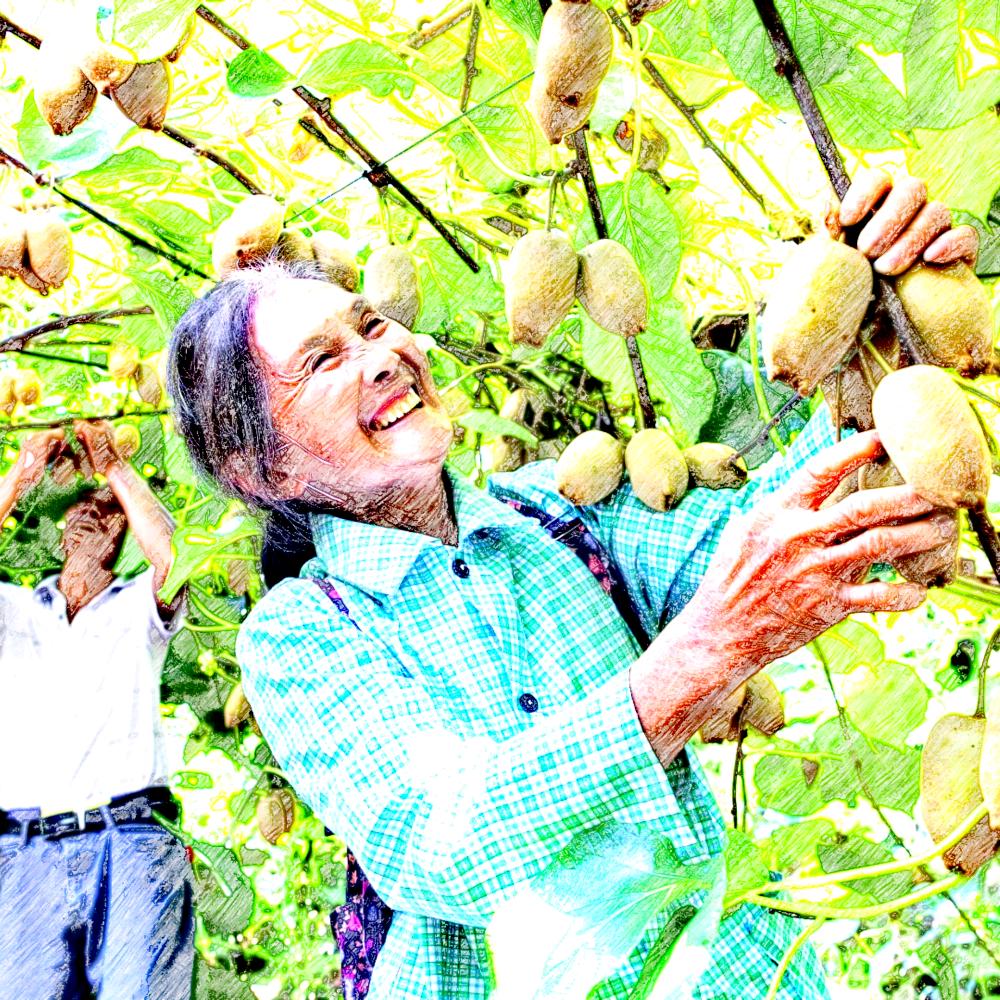 君子坪水果农场