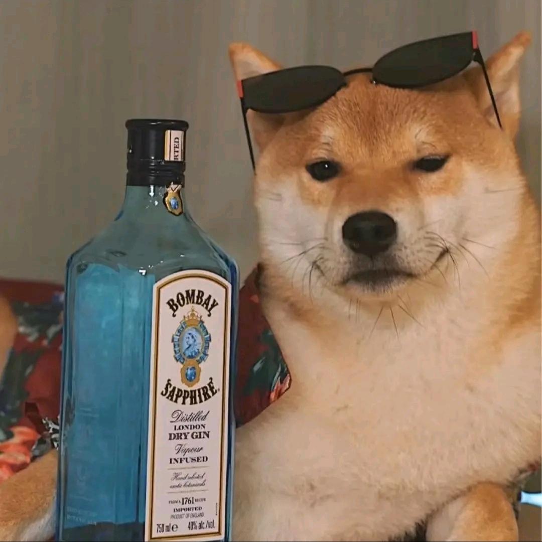 不要笑〜(￣▽￣〜)头像