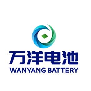 万洋电池