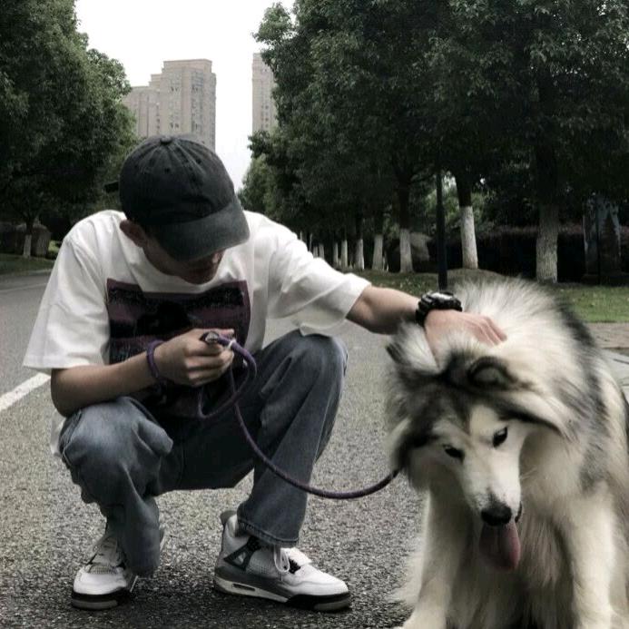 肥鹿（极品飞车：集结）