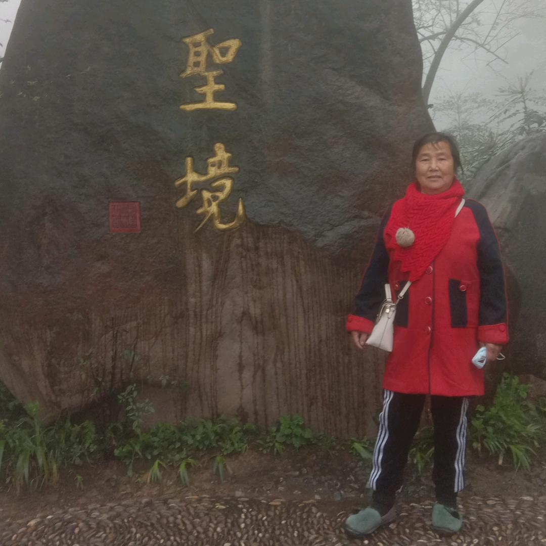 兰花 专业打井