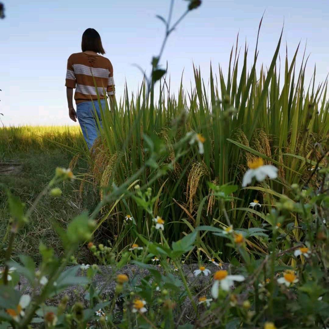 “এ᭄归零ོꦿృ༊