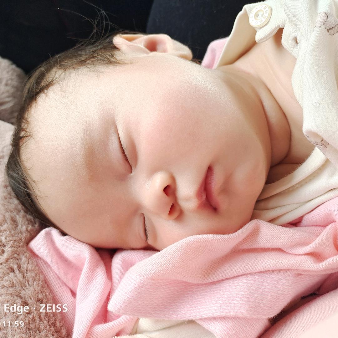 百合也有春天。