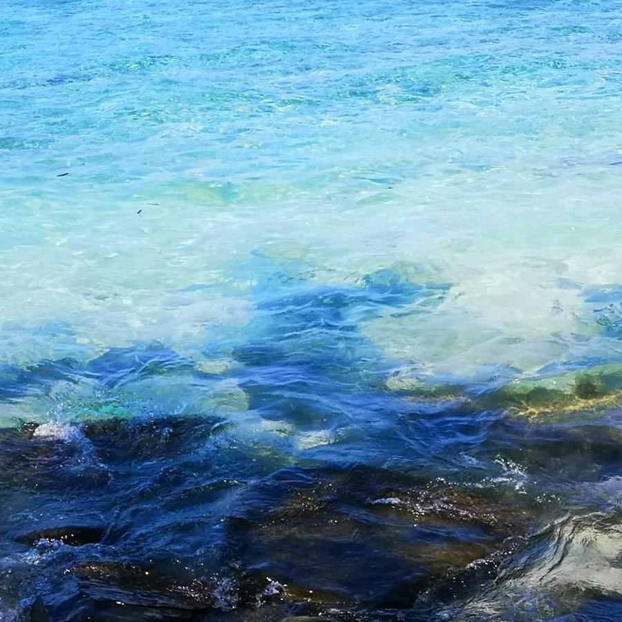 此心比心还得用心