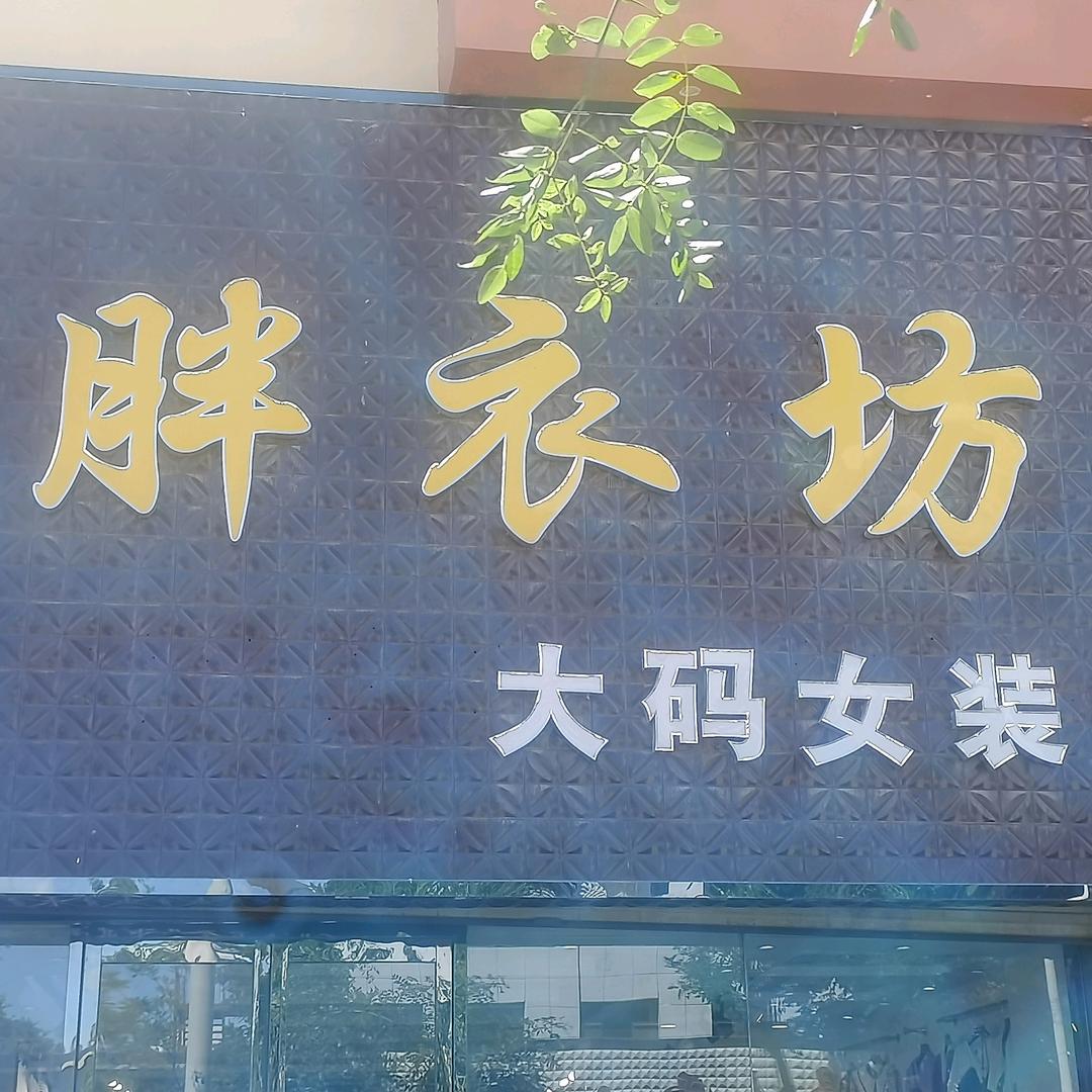 胖衣坊大码女装～老二幼东50米