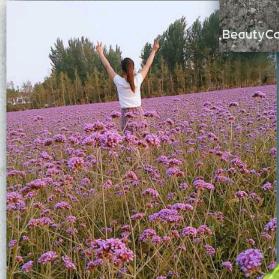 蘰踄→_→蕓鍴
