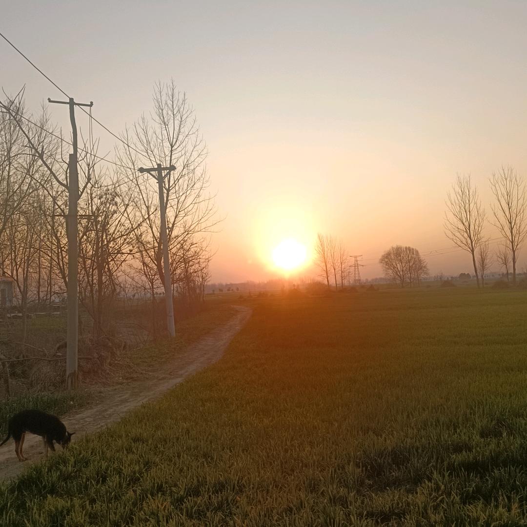 刘先芝