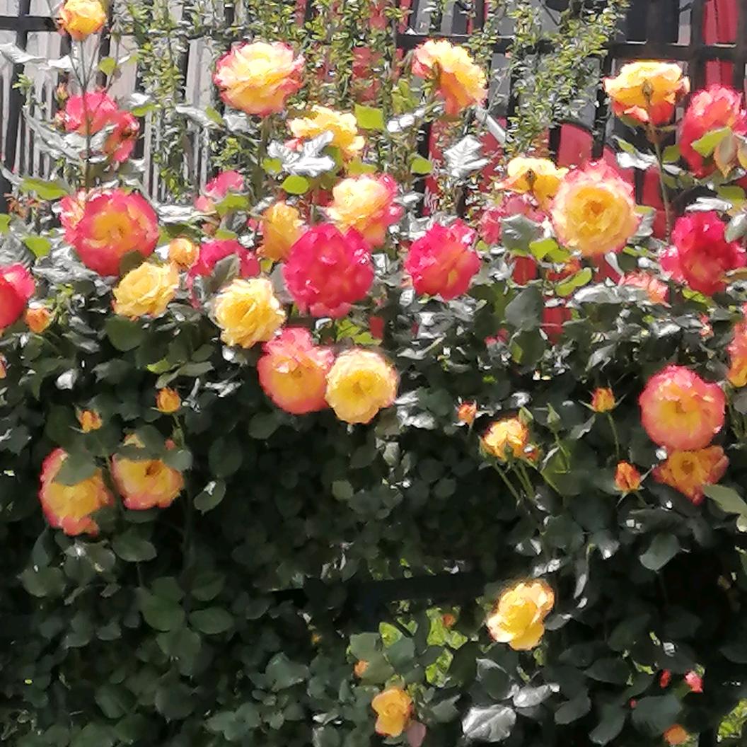 感恩遇见，拒绝私聊