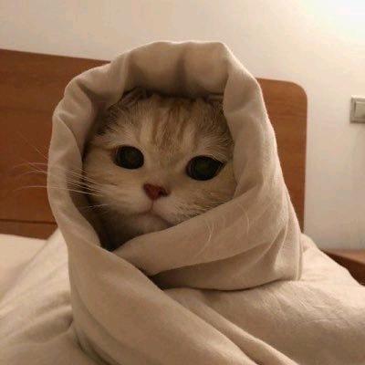 爪撕毒一