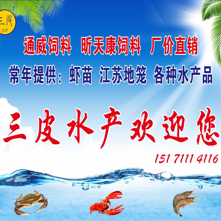 三皮水产