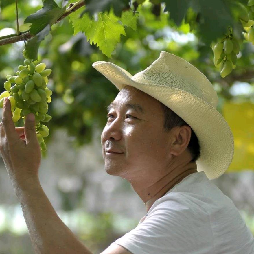 国色天香采摘农场