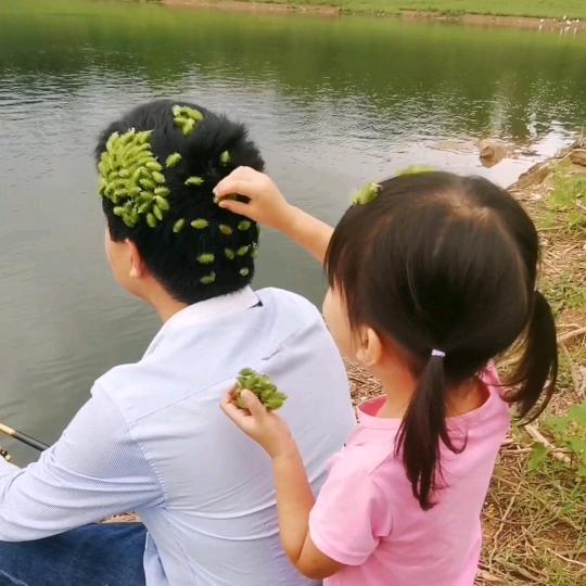 棒ぁ棒ぁ糖