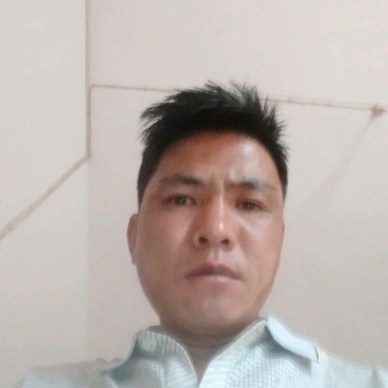 冬天的太阳坟石专业