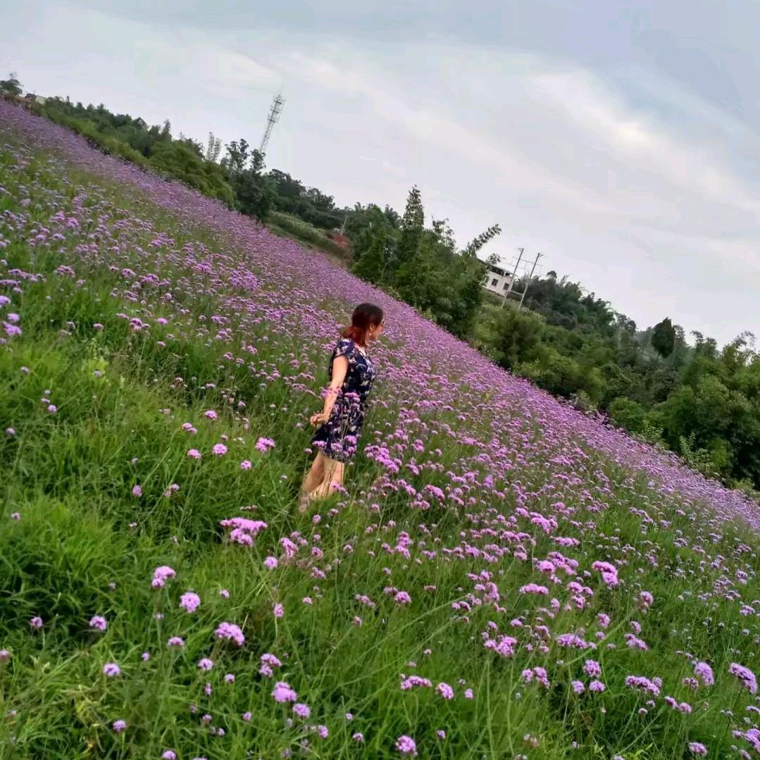 我不想说