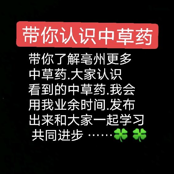 中药大观