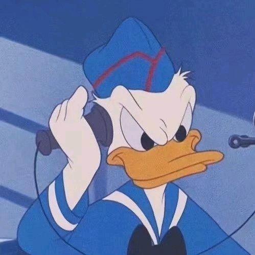 我不是开普顿