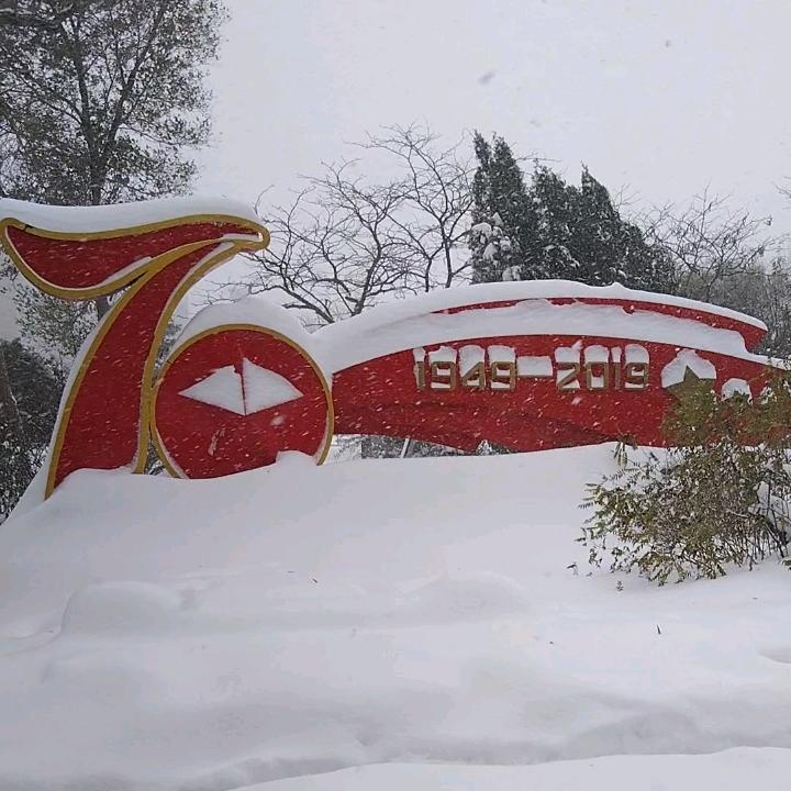 沁园春.抖音