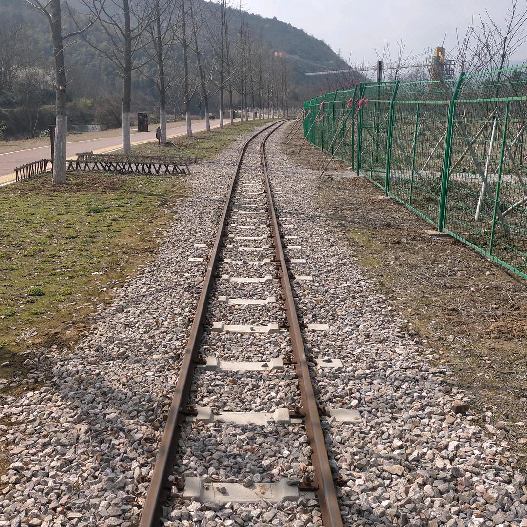 飞得起🤙👱‍♂️🤪😜