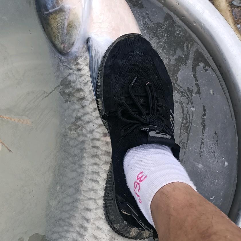 光头老樊（专业锚杆，锚索，喷锚)