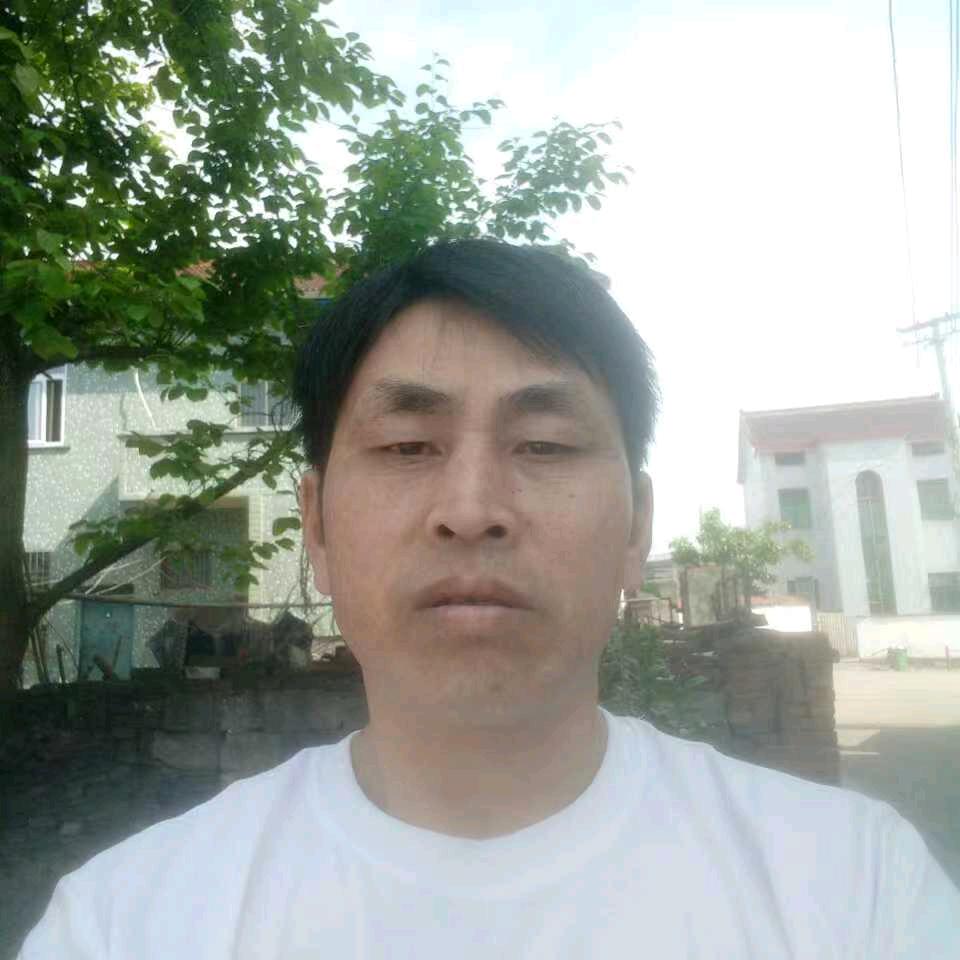 真情永远
