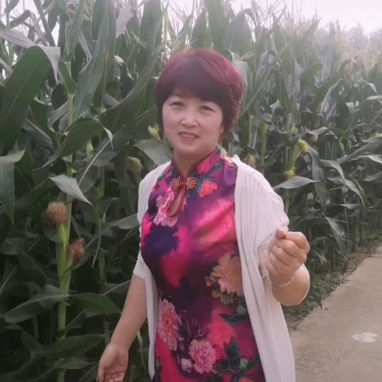 勤有心语！！🌷🌷🌷🌷