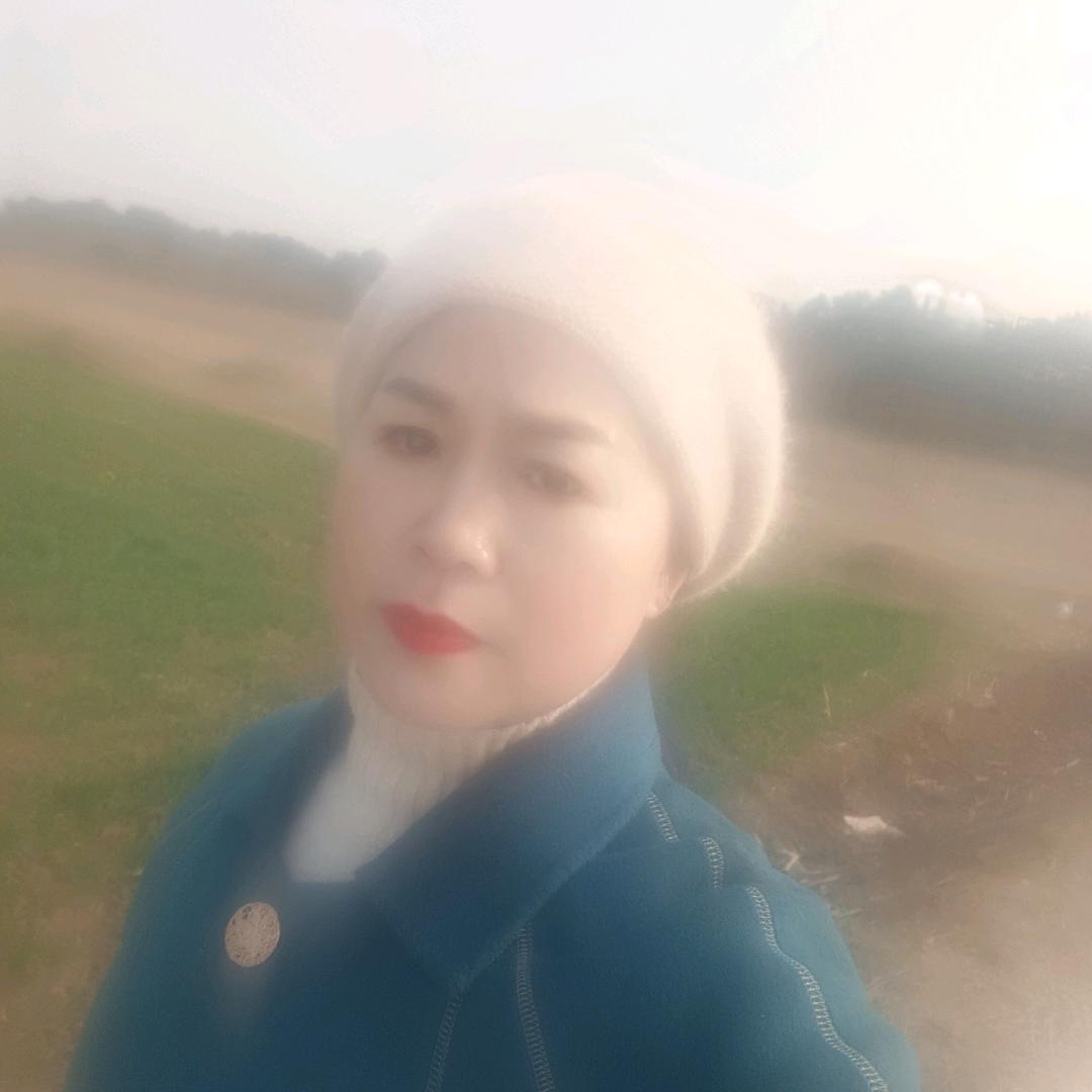 青菜批发