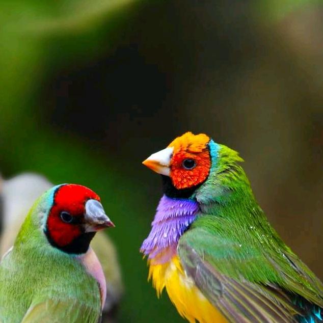 用户6949192274309明天更美好