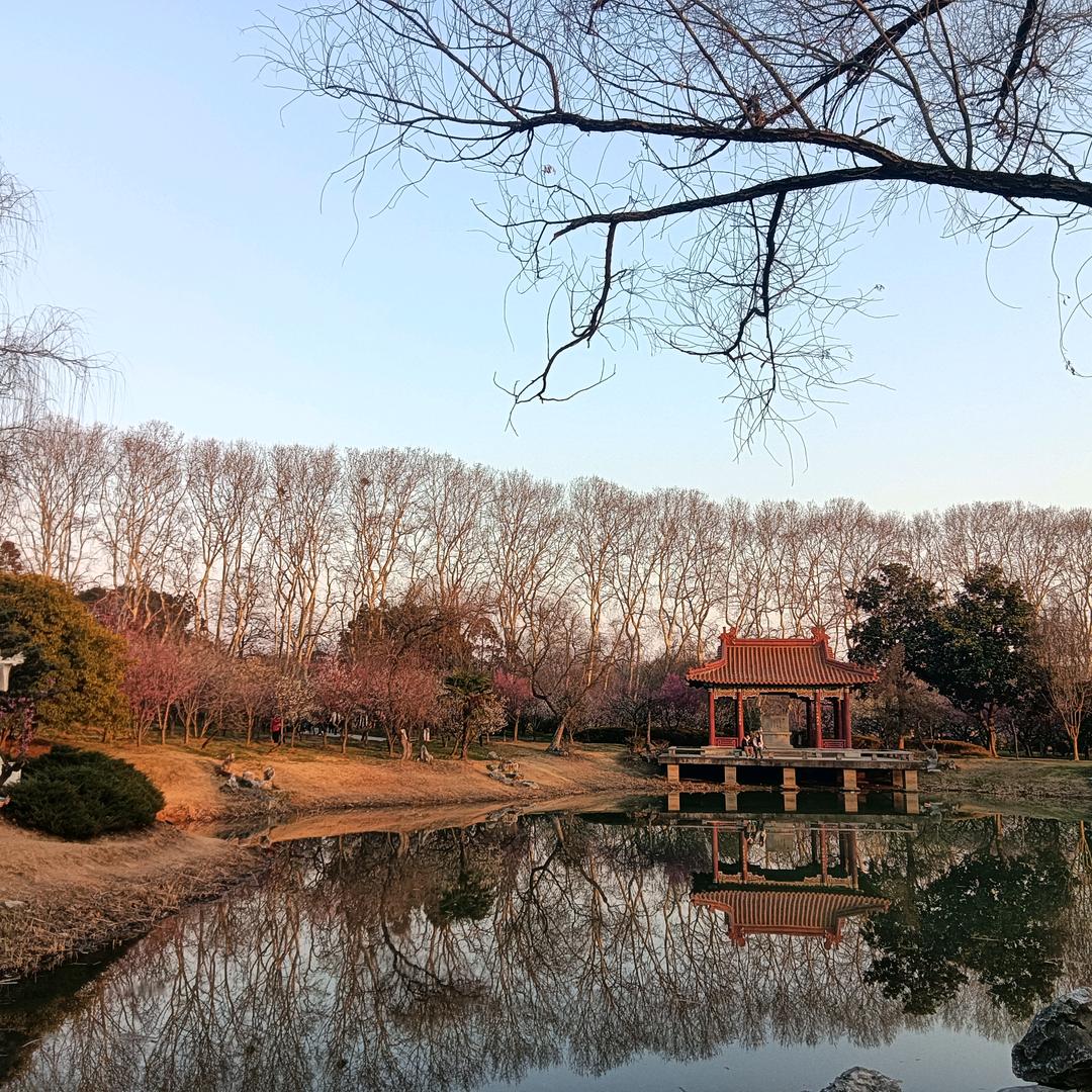 正心问道