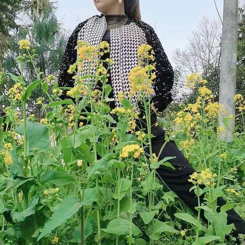 坐车包车找我安全快捷