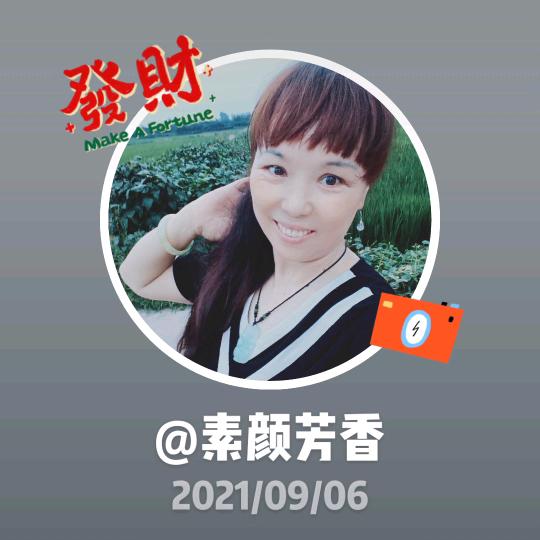 素颜芳香