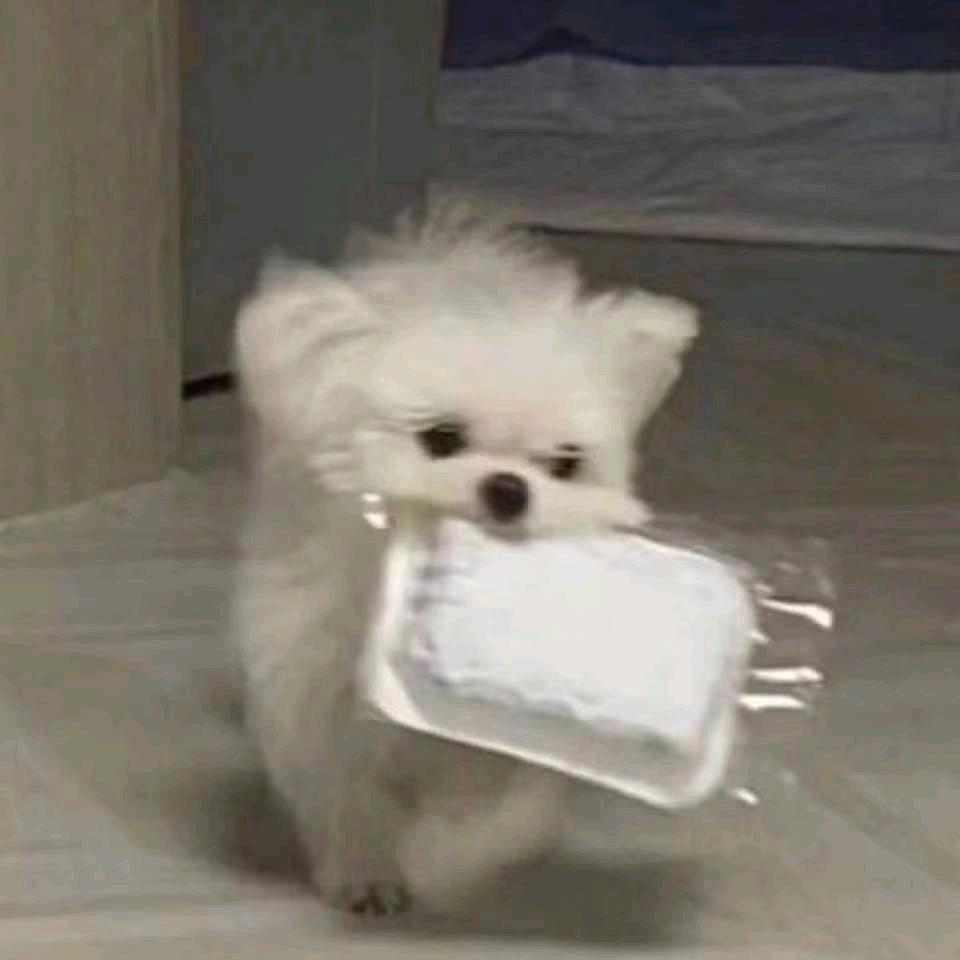 西城空少
