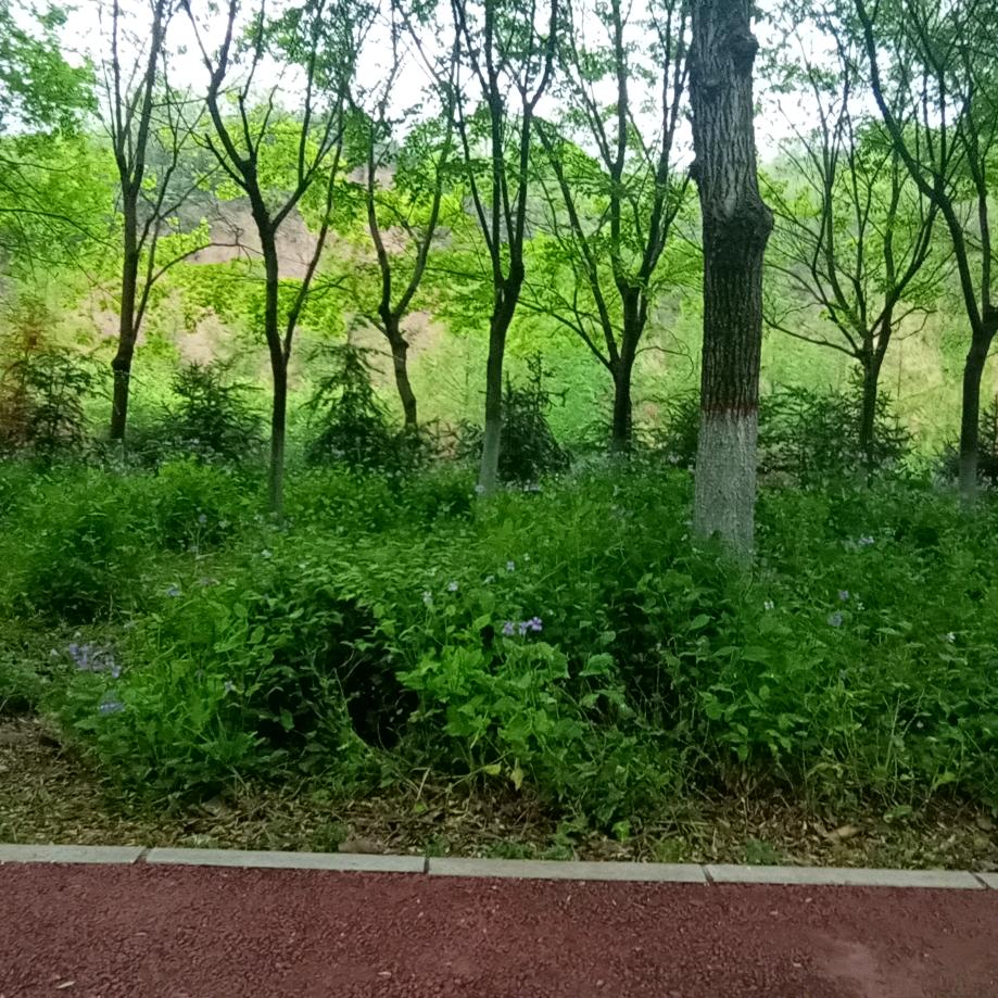 懂得珍惜才配的拥有