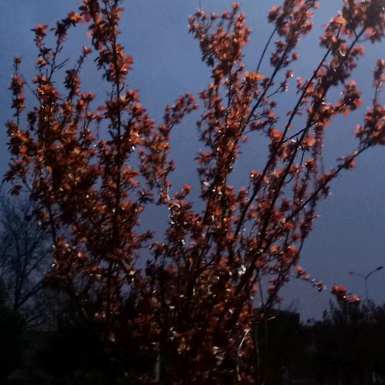 24小时为人民服务