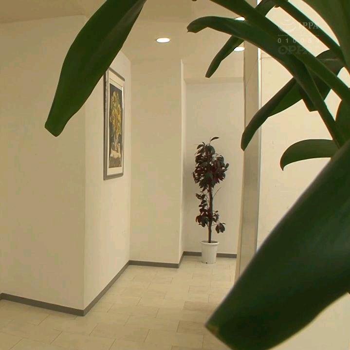 孤独寂寞的寂寞独孤狼