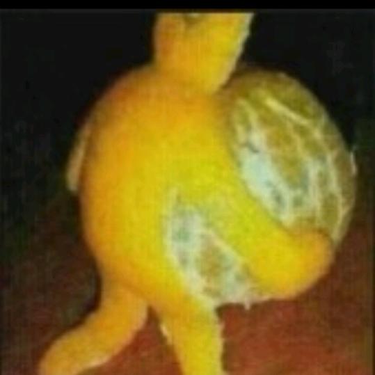 开心快乐，每一天