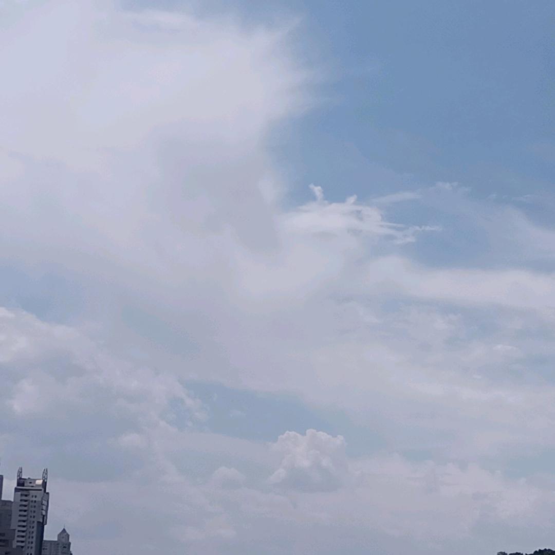 左左