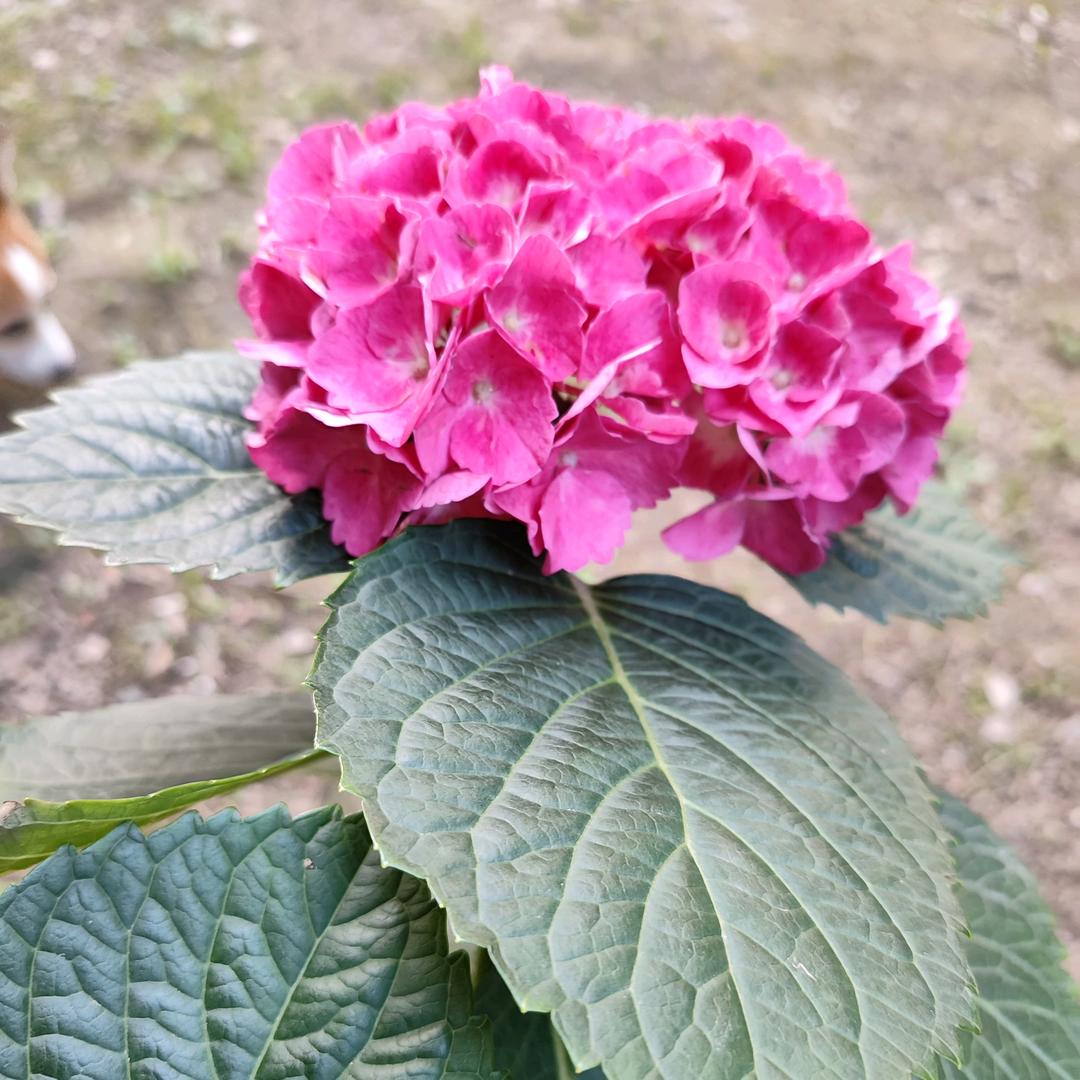 为你停留